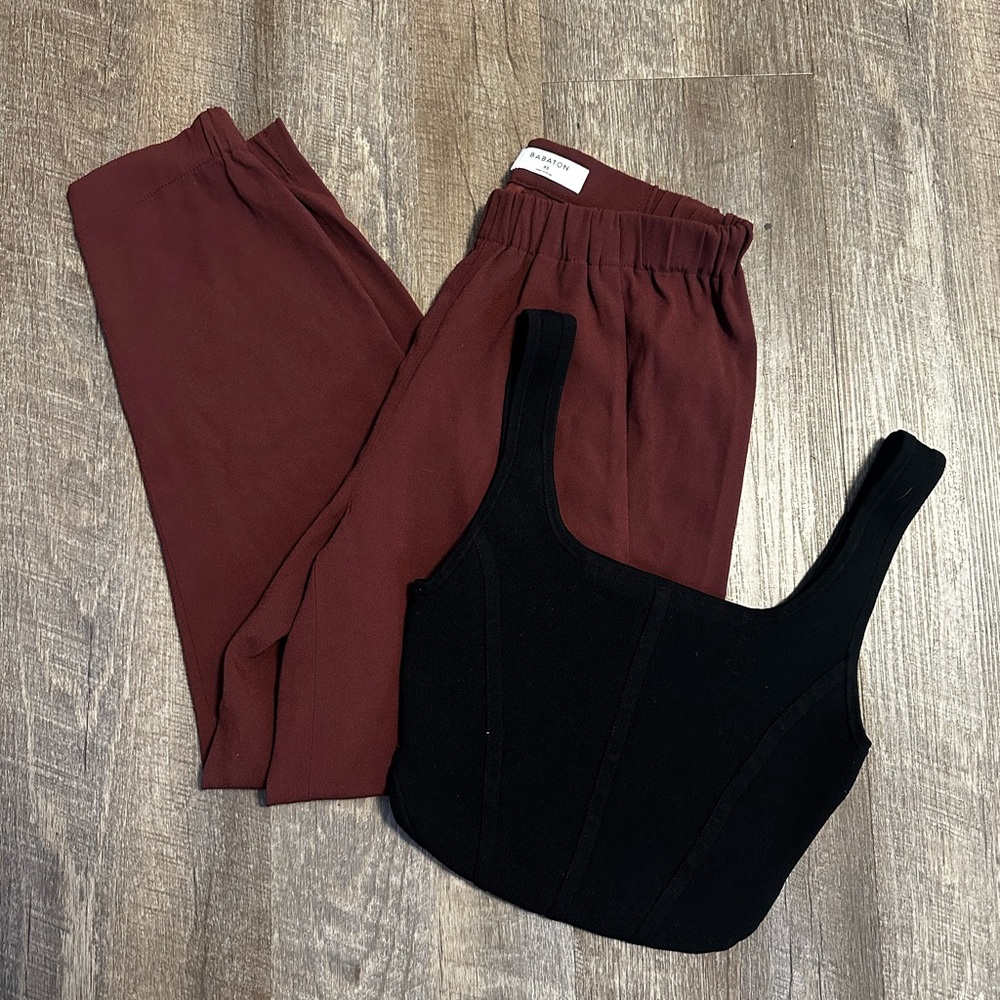 Aritzia Babaton Pants and Top